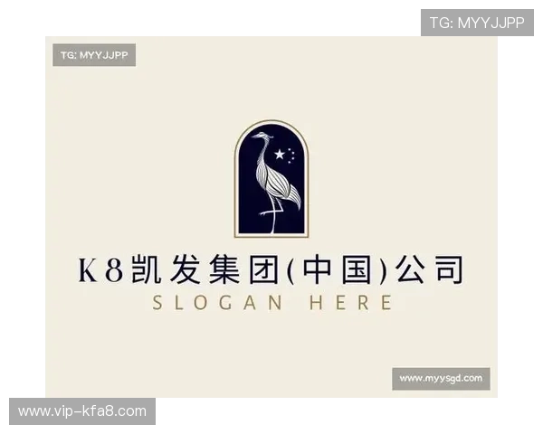 K8凯发国际官网的安全保障措施与隐私保护策略深度分析确保玩家信息安全